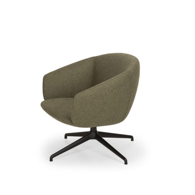 not lounge chair - Image 3